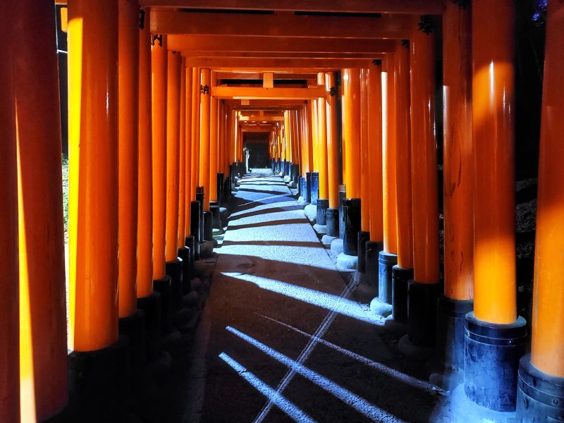 Fushimi Inari shrine at night